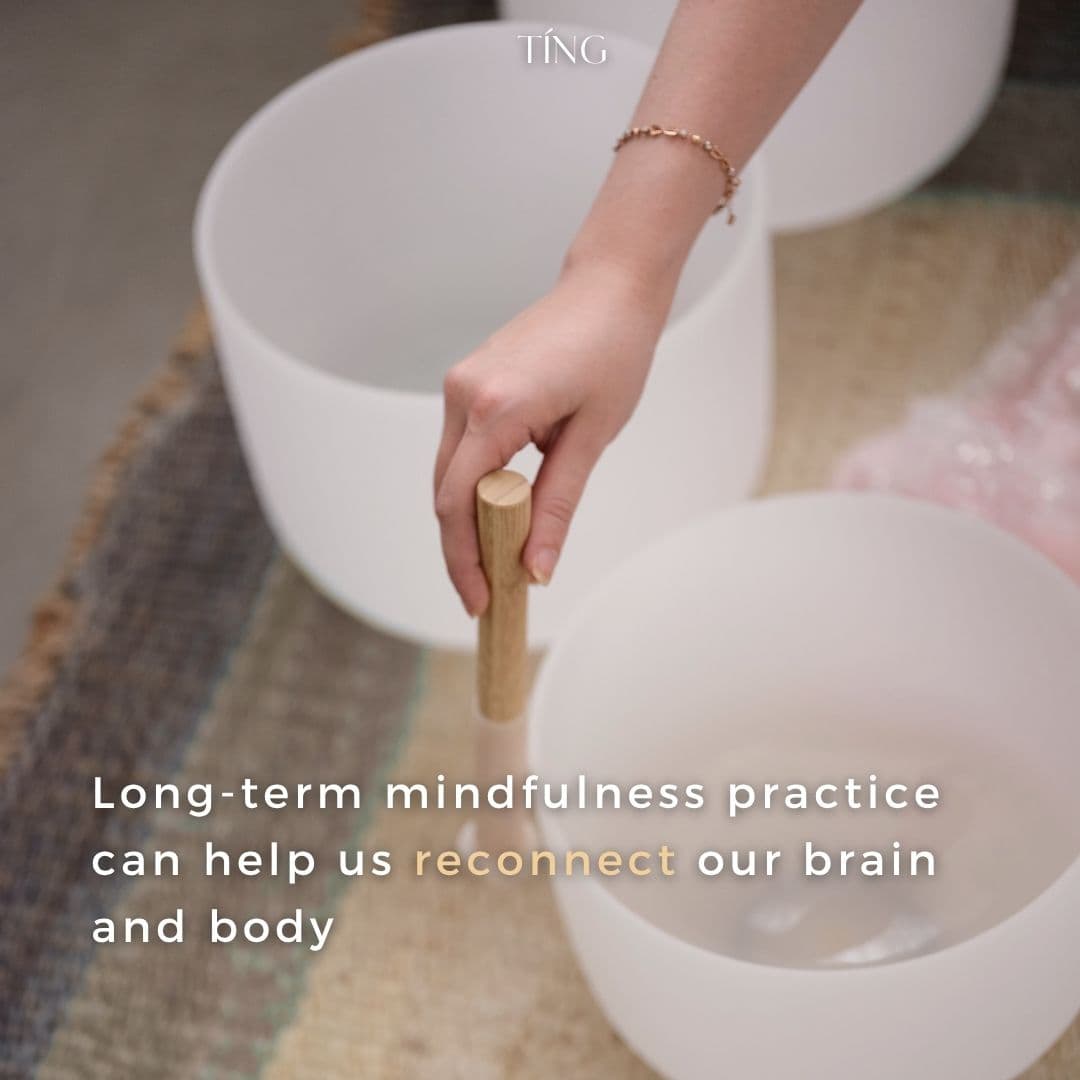 Reconnect mind and body